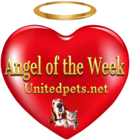 an angel of the week award